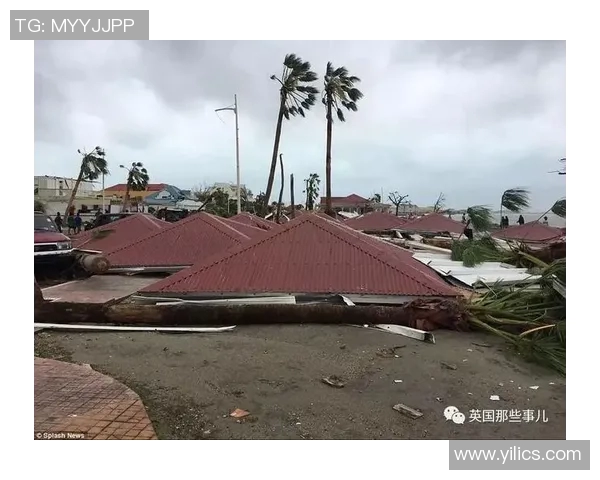 飓风来袭图圣马丁岛的生存挑战与重建希望